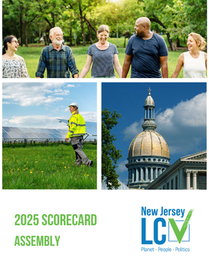 2024-2025 New Jersey LCV Scorecard Assembly 