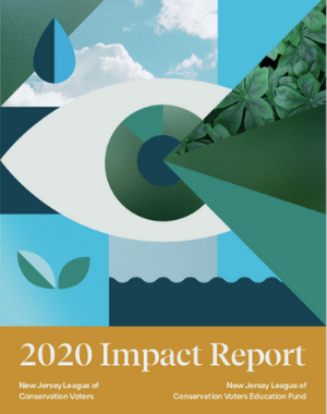 NJLCV 2020 Impact Report
