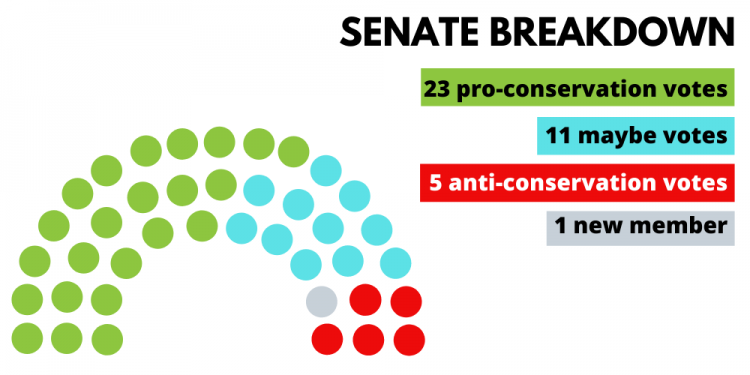 Senate breakdown