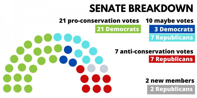 Senate Breakdown