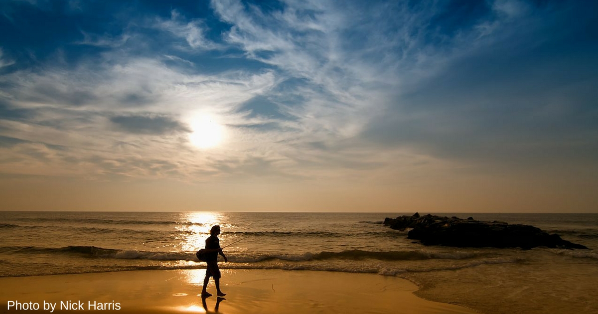 OpEd NJ could have the world's cleanest AI New Jersey League of