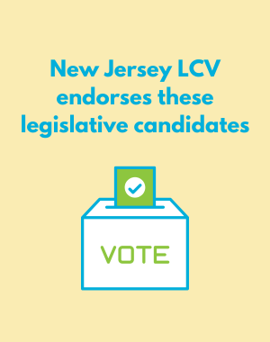 New Jersey LCV endorses state legislative candidates