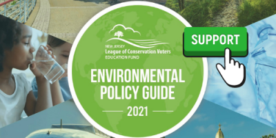 Take action to support the Green in '21 Policy Agenda